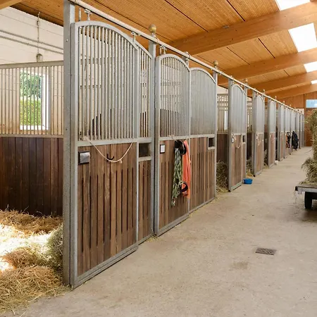 Mit Terrasse Casa de Férias