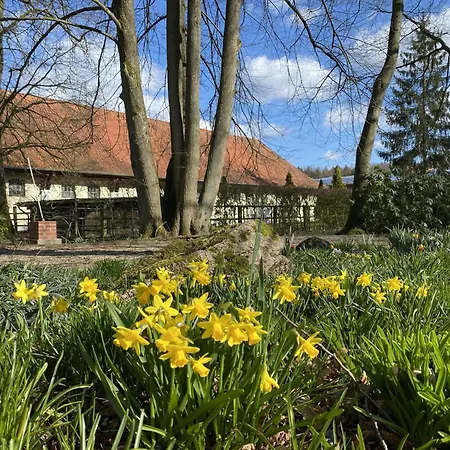 Mit Terrasse Casa de Férias