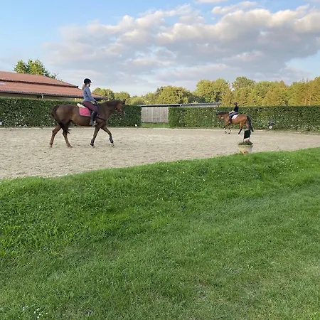 Casa de Férias Mit Terrasse *