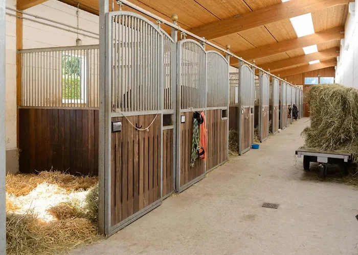 Mit Terrasse Semesterbostad