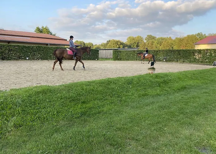 Semesterbostad Mit Terrasse *