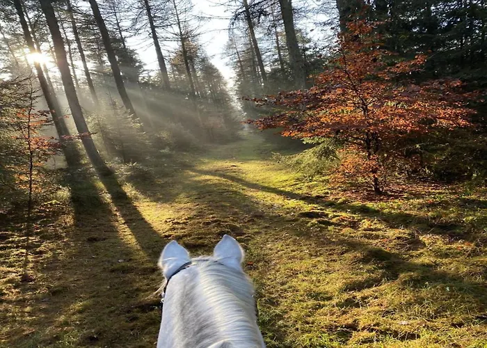 Mit Terrasse Eschede