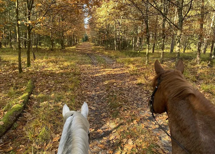 Mit Terrasse Semesterbostad